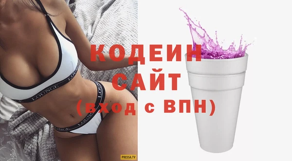 соль ск Кодинск