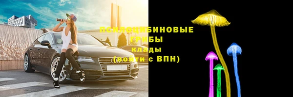 гашик Касимов