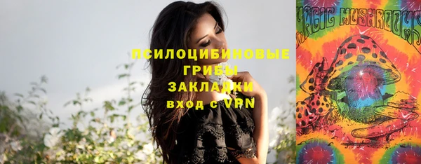 прущая мука Карпинск