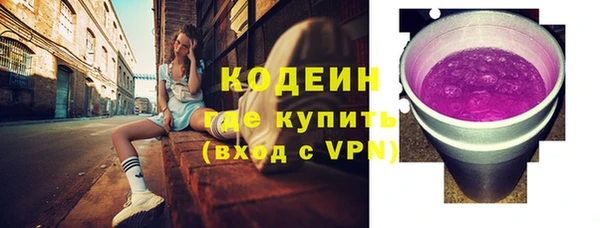 соль ск Кодинск
